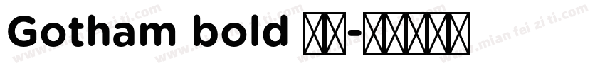 Gotham bold 粗体字体转换